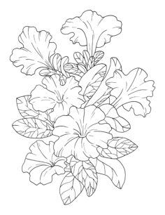 Flower Botanical Petunia Tracing Shape Pdf, Free Vectors File